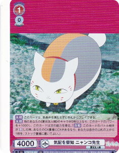 @CXV@cuE NTM/01B-028 Cz@m jR搶 (RR _uA) u[X^[pbN ĖڗFl