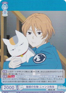 @CXV@cuE NTM/01B-053 f̐ jR搶 (R A) u[X^[pbN ĖڗFl