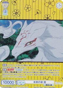 @CXV@cuE NTM/01B-003SP {̎p  (SP XyV) u[X^[pbN ĖڗFl