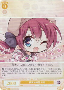 @CXV@c[ OS01/R01-005S ڋq̗K  (SR X[p[A) u[X^[pbN 䂸\tg