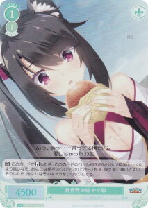 @CXV@c[ OS01/R01-043S ِE̖  (SR X[p[A) u[X^[pbN 䂸\tg