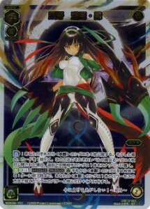 EBNX WDK08-Y01 ܉ VE (ST ypz) fAuXg