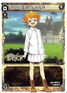 EBNXTCG \zς݃fbL zCgG} WXK-D11