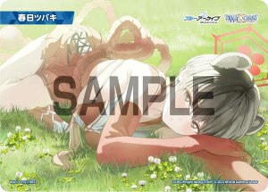 EBNX WXDi-CP02-TKR53 tcoL (TK g[N) u[X^[pbN u[A[JCu DIVA