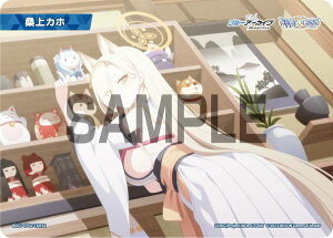 EBNX WXDi-CP02-TKR54 KJz (TK g[N) u[X^[pbN u[A[JCu DIVA