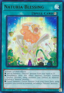 VY MP23-EN204 i`̏t Naturia Blessing (p 1st Edition EgA) 25th Anniversary TinFDueling Heroes