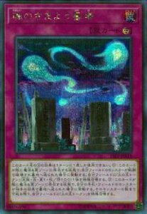 VY 19PP-JP019 ̂܂悤 ({ V[NbgA) PREMIUM PACK 2019