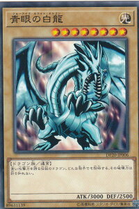 VY DP20-JP006 ̔ ({ m[}) WFhfGXg3