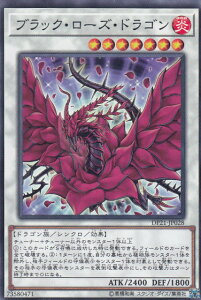 VY DP21-JP028 ubN[YEhS ({ m[}) fGXgpbN |WFhfGXg4|