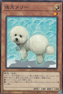 遊戯王 犬の人気商品 通販 価格比較 価格 Com
