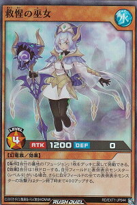 �V�Y�� ���b�V���f���G�� RD/EXT1-JP044 �~���̛ޏ� (���{��� �X�[�p�[���A) �G�N�X�g�����z�����p�b�N