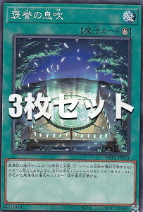 �y3���Z�b�g�z�V�Y�� WPP2-JP053 �J�_�̑��� (���{��� �m�[�}��) WORLD PREMIERE PACK 2021