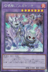 VY SLF1-JP025 bvKgI ({ V[NbgA) SELECTION 5
