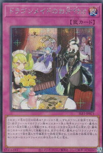 VY SLF1-JP071 hSCĥЕt ({ V[NbgA) SELECTION 5