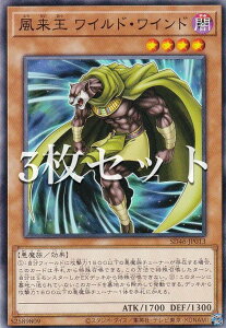 y3ZbgzVY SD46-JP013  ChECh ({ m[}) XgN`[fbL |҂̌ۓ|