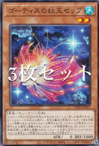 �y3���Z�b�g�z�V�Y�� WPP4-JP017 �S�[�e�B�X�̍g�ʃ[�b�v (���{��� �m�[�}��) WORLD PREMIERE PACK 2023
