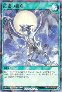 VY bVfG RD/ECG1-JP010 ◴̍ ({ m[}p) J[hQ[K