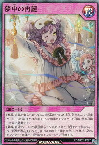 VY bVfG RD/TB02-JP067 ̍Ēa ({ X[p[A) gvrhpbN G{[VECpNg