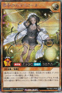 VY bVfG RD/TB02-JP056 ̃Ju[l ({ V[NbgA) gvrhpbN G{[VECpNg