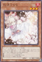 楽天市場】灰流うらら ノーマルの通販