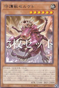 �y3���Z�b�g�z�V�Y�� WPP6-JP002 ���b�Z���P�g (���{��� ���A) WORLD PREMIERE PACK 2025