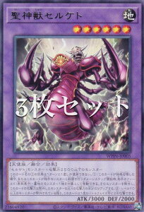 �y3���Z�b�g�z�V�Y�� WPP6-JP005 ���_�b�Z���P�g (���{��� ���A) WORLD PREMIERE PACK 2025