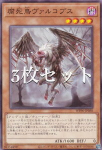 �y3���Z�b�g�z�V�Y�� WPP6-JP050 ���������@���R�v�X (���{��� �m�[�}��) WORLD PREMIERE PACK 2025
