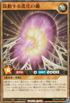 楽天市場】遊戯王 進化の繭の通販
