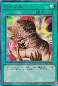 �V�Y�� LOCH-JP067 �ˑR�ψ� (���{��� �A���e�B���b�g���A) LIMIT OVER COLLECTION �|THE HEROES�|