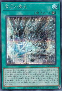 �V�Y�� LOCR-JP074 ���΂̐��� (���{��� �V�[�N���b�g���A) LIMIT OVER COLLECTION �|THE RIVALS�|