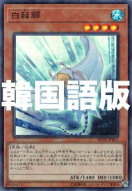 楽天市場 ホワイト スティングレイの通販