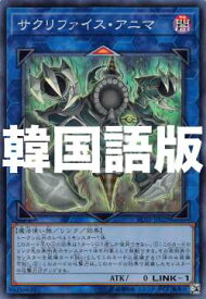 楽天市場 韓国版 遊戯王ゴールドの通販