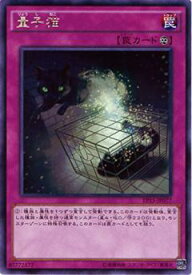 【プレイ用】遊戯王 EP15-JP077 量子猫 (日本語版 レア) EXTRA PACK 2015【中古】