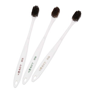 ys/ȂqiȂԂ炵jzuVij3{ginтӂAؖт߁j n ؖ n   ӂ  VR Zbg nuV ȗp ͂Ԃ炵 Y {Y { 