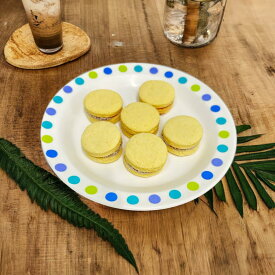 (8107)CASADINHO DE DOCE DE LEITE　キャラメルサンド
