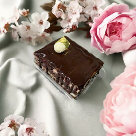 (8726)BOLO PRESTIGIO (CONGELADO) 冷凍チョコココナッツケーキ　洋菓子　チョコ＆ココナッツ味　冷凍ケーキ　おやつタイムにピッタリ
