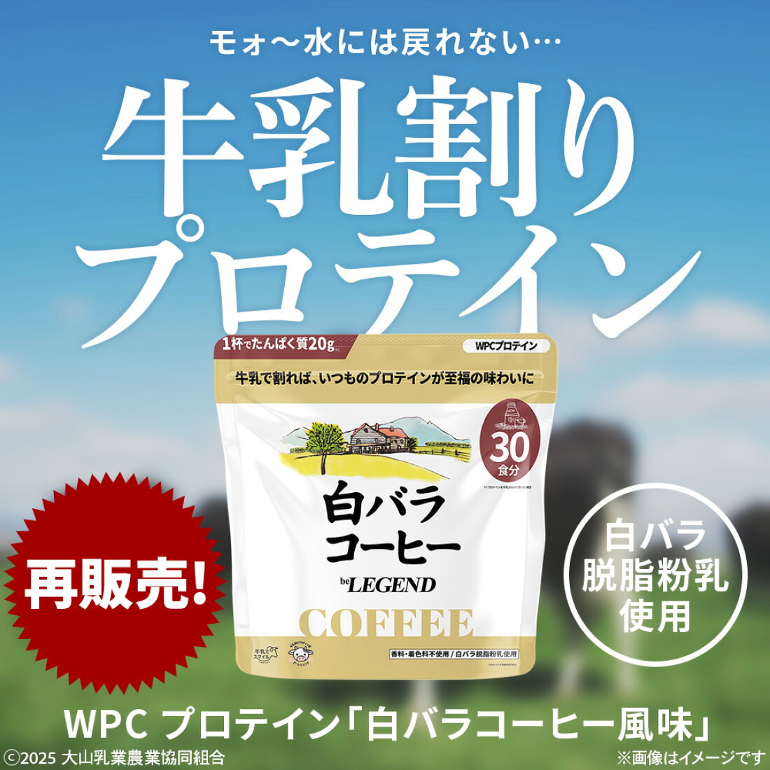 楽天市場 | ビーレジェンド プロテイン -公式- - ビーレジェンド 