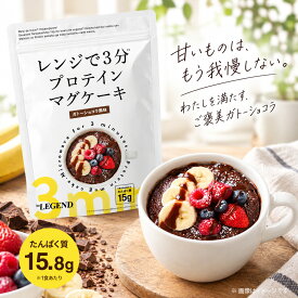 【LINE登録で最大1000円OFF】ビーレジェンド マグケーキ ガトーショコラ風味【450g】たんぱく質 プロテイン スイーツ ダイエット お菓子 国内製造