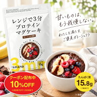【新発売記念10%OFFクーポン配布中】ビーレジェンド マグケーキ ガトーショコラ風味【450g】たんぱく質 …