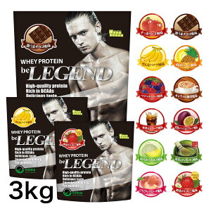 ビーレジェンド プロテイン 3kg 激うまチョコ風味と12種類の味から2種選べる 3種セット 1kg ×3袋(マツコの知らない世界 送料無料 ホエイプロテイン 女性 男性 ダイエット 筋トレ) おきかえダイエット 筋肥大 be LEGEND