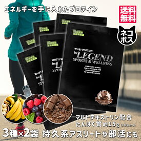 【20日だけ全品P10倍！LINE登録で最大1000円OFF】プロテイン ビーレジェンド マルチプロテイン スポーツ ＆ ウェルネス チョコ バナナ ベリー be LEGEND【お試し3種×2袋】【ネコポス発送】ホエイプロテイン ダイエット 筋トレ マルトデキストリン配合 初心者向け