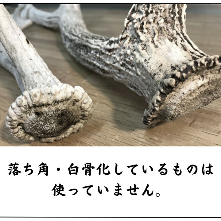 楽天市場】【今季狩猟！】鹿の角 5cm前後を100g分セット アクセサリー 