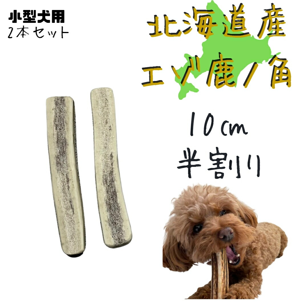 楽天市場】鹿角 10センチ 半割り 2本 犬のおやつ 北海道産 蝦夷