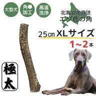 【スーパーSALE限定！20％OFFクーポン】鹿角 XLサイズ 1本2本 北海道 犬のおやつ 蝦夷鹿 鹿角 鹿の角 犬 …