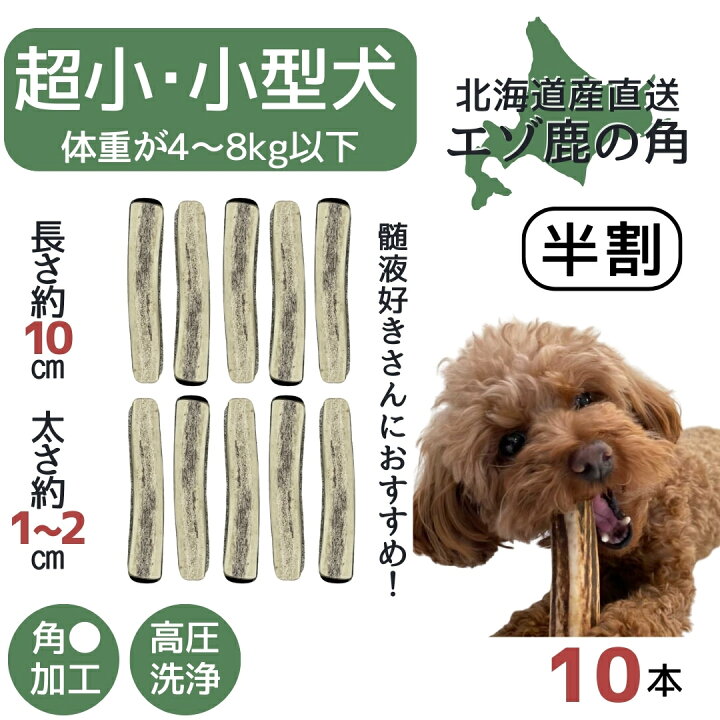 楽天市場】鹿角 半割り 10センチ 10本 北海道 半割 犬のおやつ 蝦夷鹿 