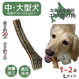 【15日限定！5％OFFクーポン】鹿の角 Lサイズ 1本 2本 北海道 犬のおやつ 蝦夷鹿 鹿角 鹿の角 犬 デンタルケア 無添加 長持ち 犬用品 犬用 おもちゃ ペットグッズ ペット いぬ ドッグ 歯みがき はみがき 中型犬 大型犬 ペット用品 犬のガム 噛む 玩具 犬おもちゃ