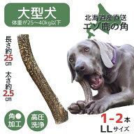 【スーパーSALE限定！20％OFFクーポン】鹿角 LLサイズ 1本 2本 北海道 犬のおやつ 蝦夷鹿 鹿角 鹿の角 犬…