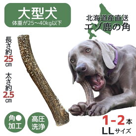 【15日限定！5％OFFクーポン】鹿角 LLサイズ 1本 2本 北海道 犬のおやつ 蝦夷鹿 鹿角 鹿の角 犬 デンタルケア 無添加 長持ち 犬用品 犬用 おもちゃ ペットグッズ ペット いぬ ドッグ 歯みがき はみがき 中型犬 大型犬 ペット用品 犬のガム 噛む 玩具 犬おもちゃ