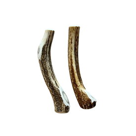【今期狩猟品】鹿角 お試し 1本 2本 北海道 犬のおやつ 蝦夷鹿 鹿角 鹿の角 犬 デンタルケア 無添加 長持ち 犬用品 犬用 おもちゃ ペットグッズ ペット いぬ ドッグ 歯みがき はみがき 小型犬 中型犬 極小 ペット用品 犬のガム お試し 犬おもちゃ