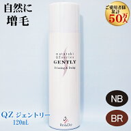 超耐水増毛スプレー 「QZジェントリー(120ml)」円形脱毛症 つむじ 分け目 生え際 メイク 自然な仕上がり …